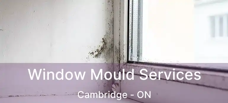  Window Mould Services Cambridge - ON
