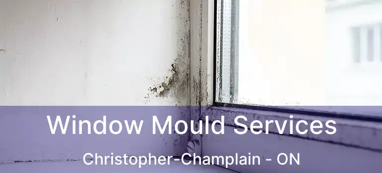  Window Mould Services Christopher-Champlain - ON