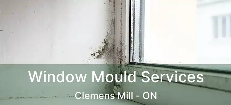  Window Mould Services Clemens Mill - ON