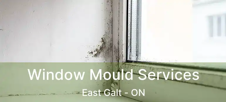  Window Mould Services East Galt - ON