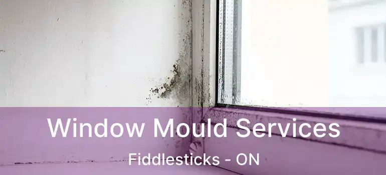  Window Mould Services Fiddlesticks - ON