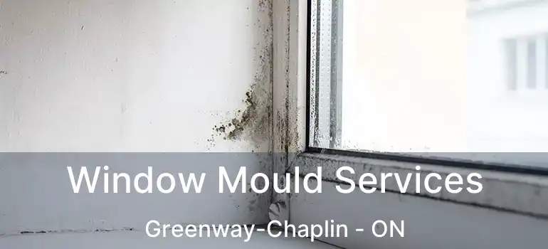  Window Mould Services Greenway-Chaplin - ON