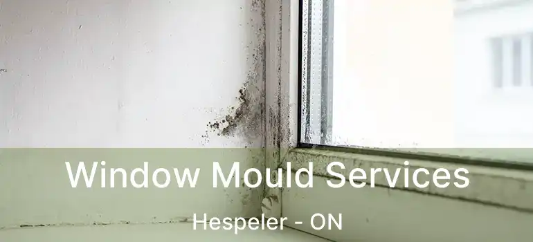  Window Mould Services Hespeler - ON