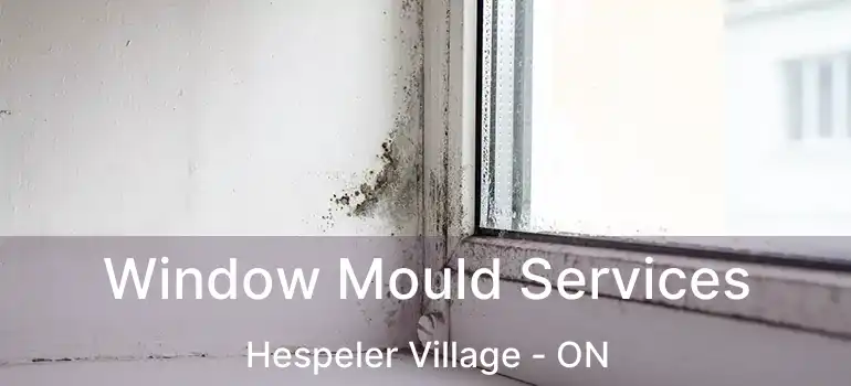  Window Mould Services Hespeler Village - ON