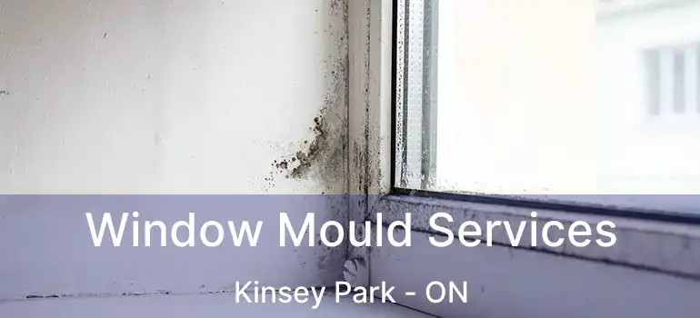  Window Mould Services Kinsey Park - ON