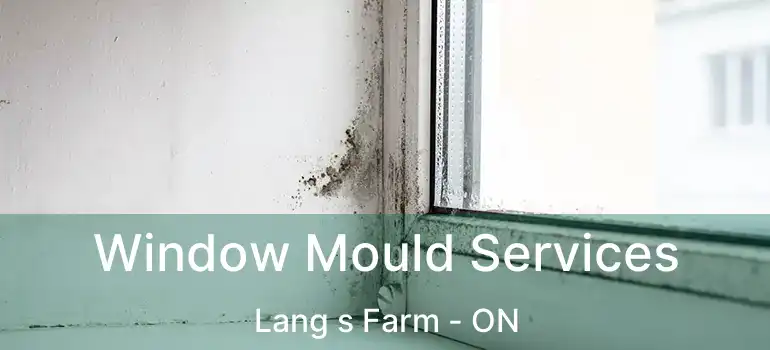  Window Mould Services Lang s Farm - ON