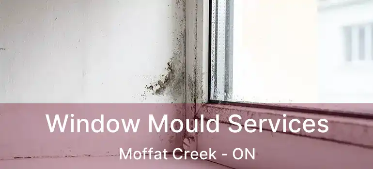  Window Mould Services Moffat Creek - ON