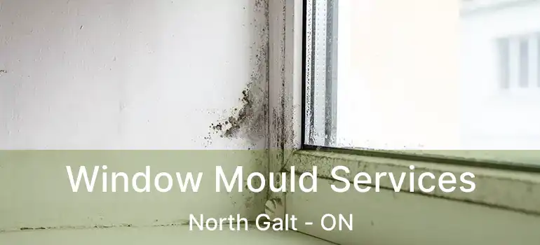  Window Mould Services North Galt - ON