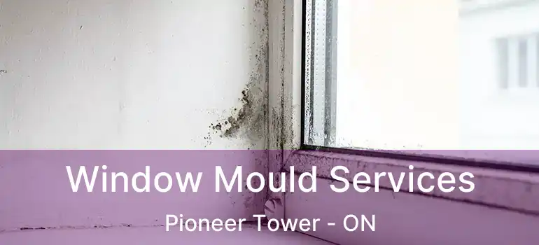  Window Mould Services Pioneer Tower - ON
