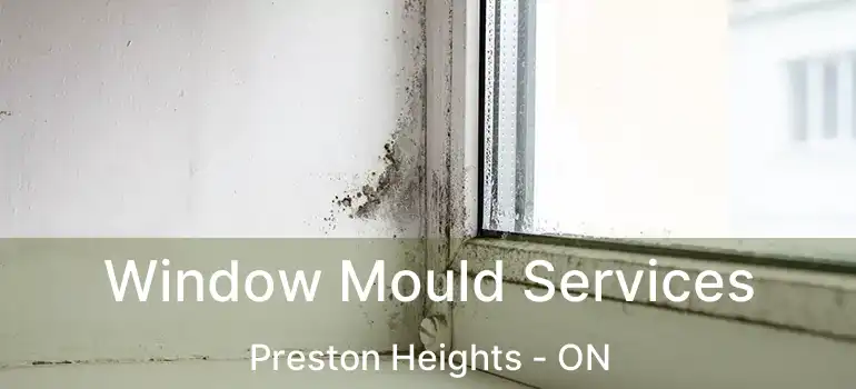 Window Mould Services Preston Heights - ON