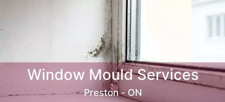  Window Mould Services Preston - ON