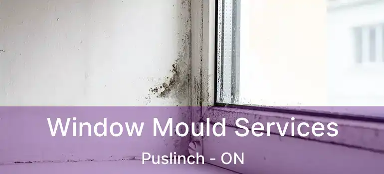  Window Mould Services Puslinch - ON