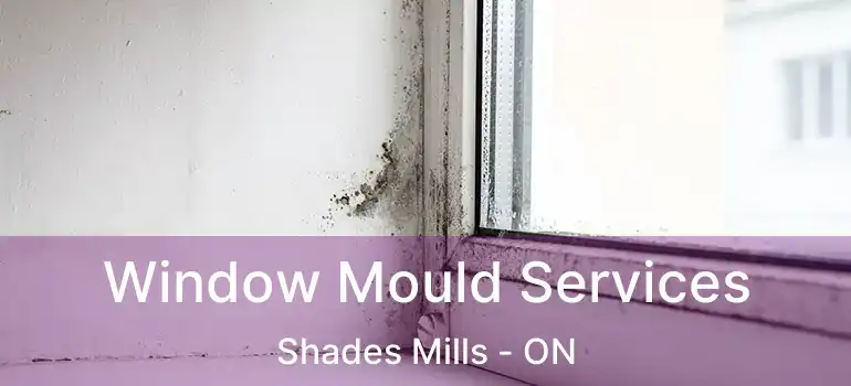  Window Mould Services Shades Mills - ON