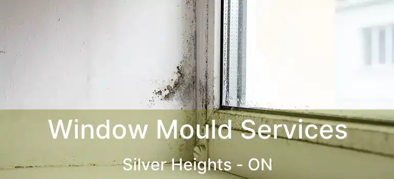 Window Mould Services Silver Heights - ON