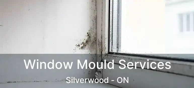  Window Mould Services Silverwood - ON