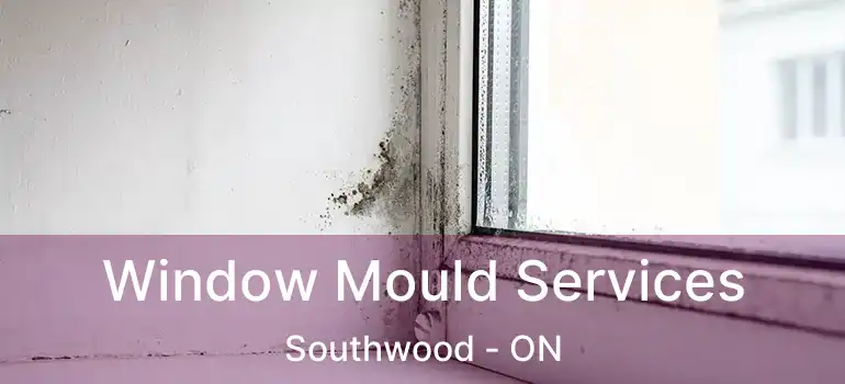  Window Mould Services Southwood - ON