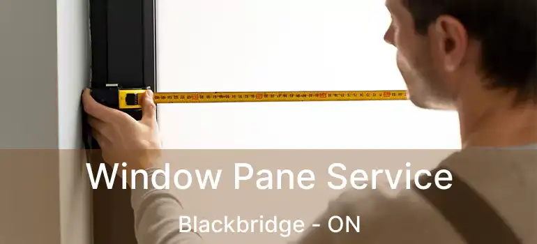  Window Pane Service Blackbridge - ON