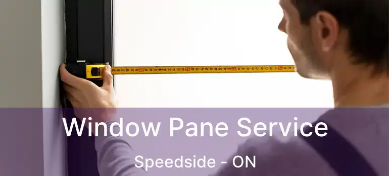  Window Pane Service Speedside - ON