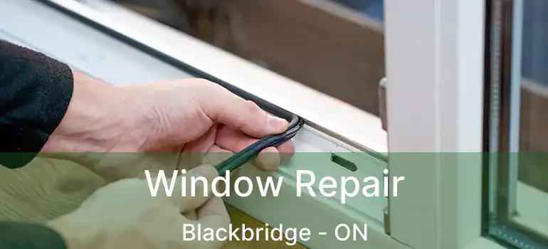  Window Repair Blackbridge - ON