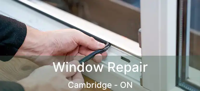  Window Repair Cambridge - ON