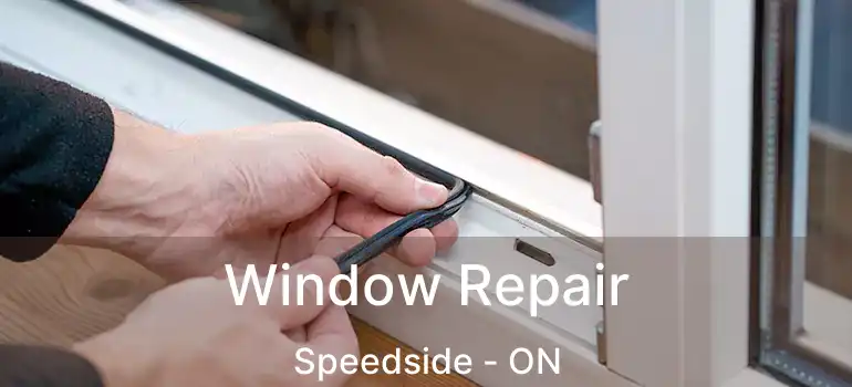  Window Repair Speedside - ON