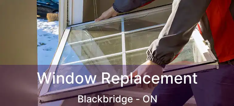  Window Replacement Blackbridge - ON