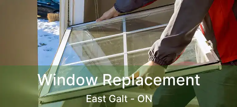  Window Replacement East Galt - ON