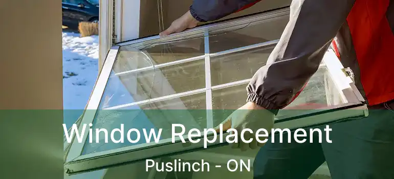  Window Replacement Puslinch - ON