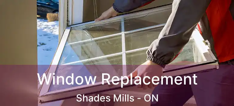  Window Replacement Shades Mills - ON