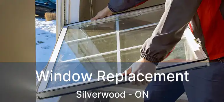  Window Replacement Silverwood - ON