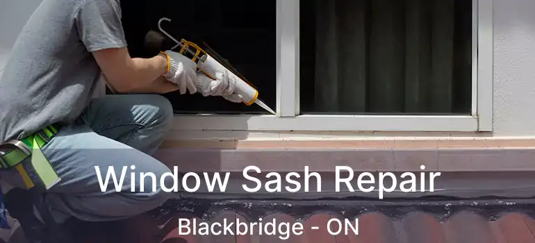  Window Sash Repair Blackbridge - ON
