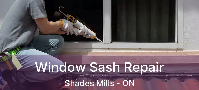  Window Sash Repair Shades Mills - ON