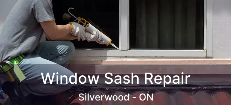  Window Sash Repair Silverwood - ON