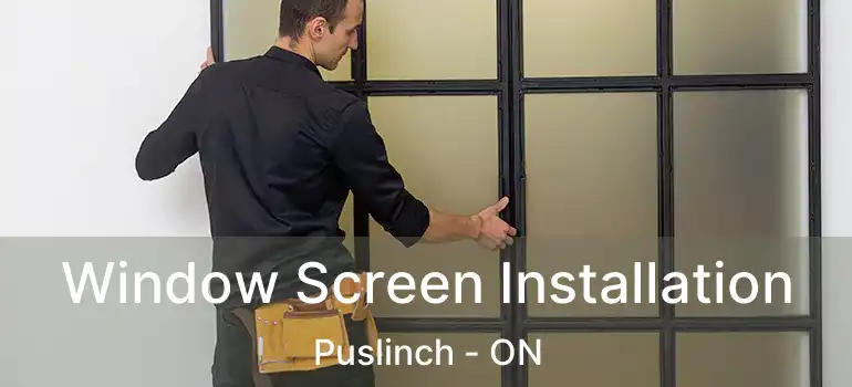  Window Screen Installation Puslinch - ON