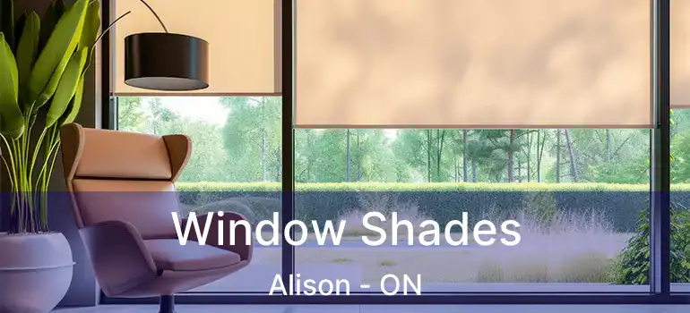  Window Shades Alison - ON