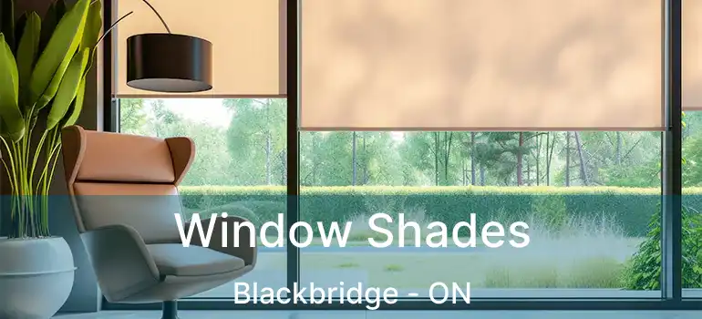  Window Shades Blackbridge - ON
