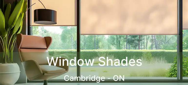  Window Shades Cambridge - ON