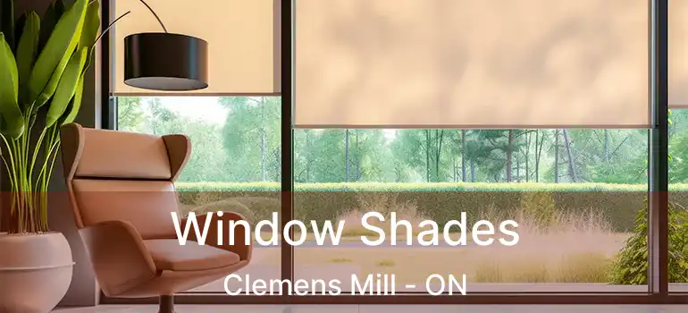 Window Shades Clemens Mill - ON