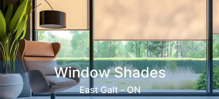  Window Shades East Galt - ON
