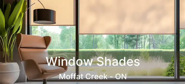  Window Shades Moffat Creek - ON