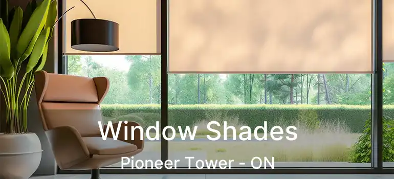  Window Shades Pioneer Tower - ON