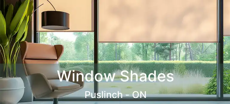  Window Shades Puslinch - ON