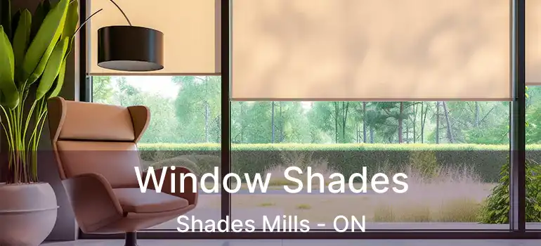  Window Shades Shades Mills - ON