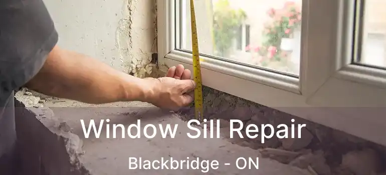  Window Sill Repair Blackbridge - ON