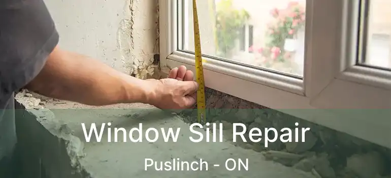  Window Sill Repair Puslinch - ON