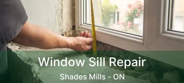  Window Sill Repair Shades Mills - ON