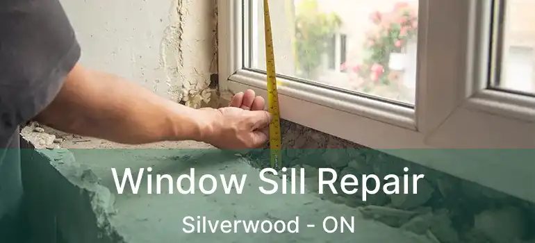  Window Sill Repair Silverwood - ON