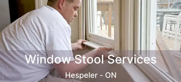  Window Stool Services Hespeler - ON