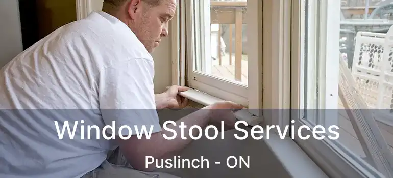  Window Stool Services Puslinch - ON