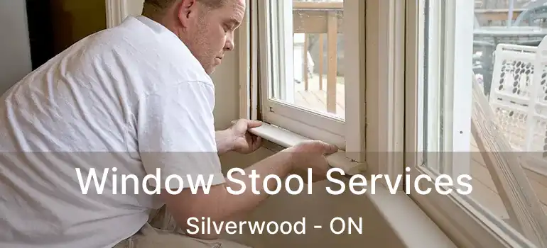  Window Stool Services Silverwood - ON